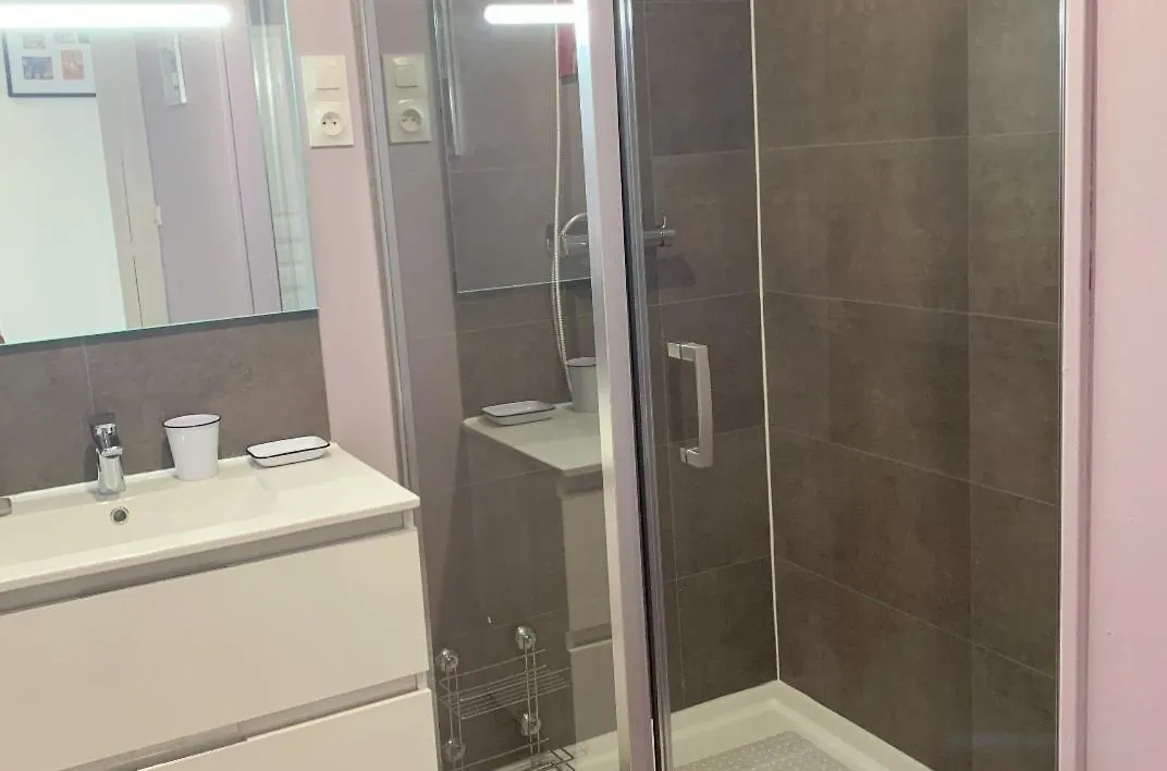 Residence Gambetta - Chambres Dans Appartement Design Grand Confort Le 481 ヴィシー